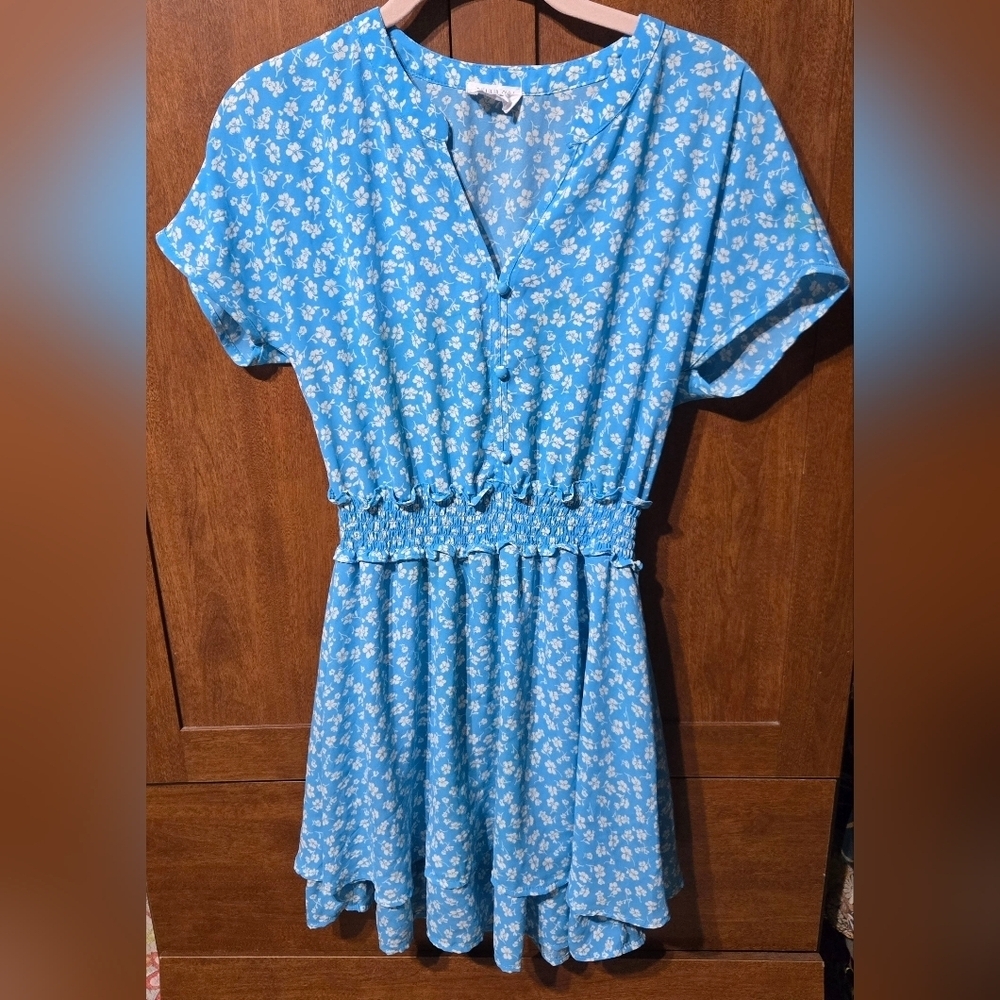 Sienna Sky Blue and White Floral Dress